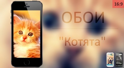 Подборка обоев "Котята"