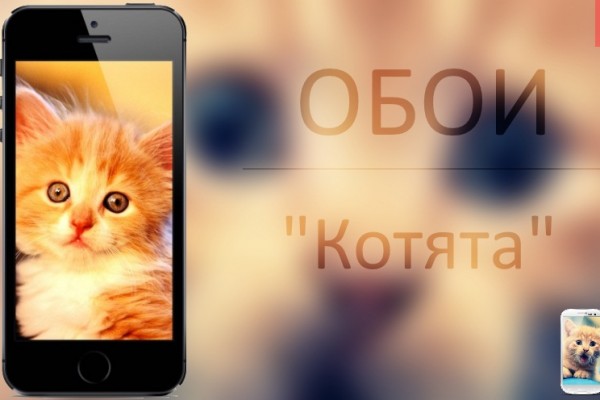 Подборка обоев "Котята"